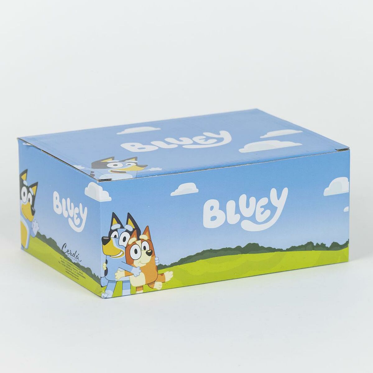 V6HED07379AC445D5F8947D0D9B2DD60F19R4038122P5