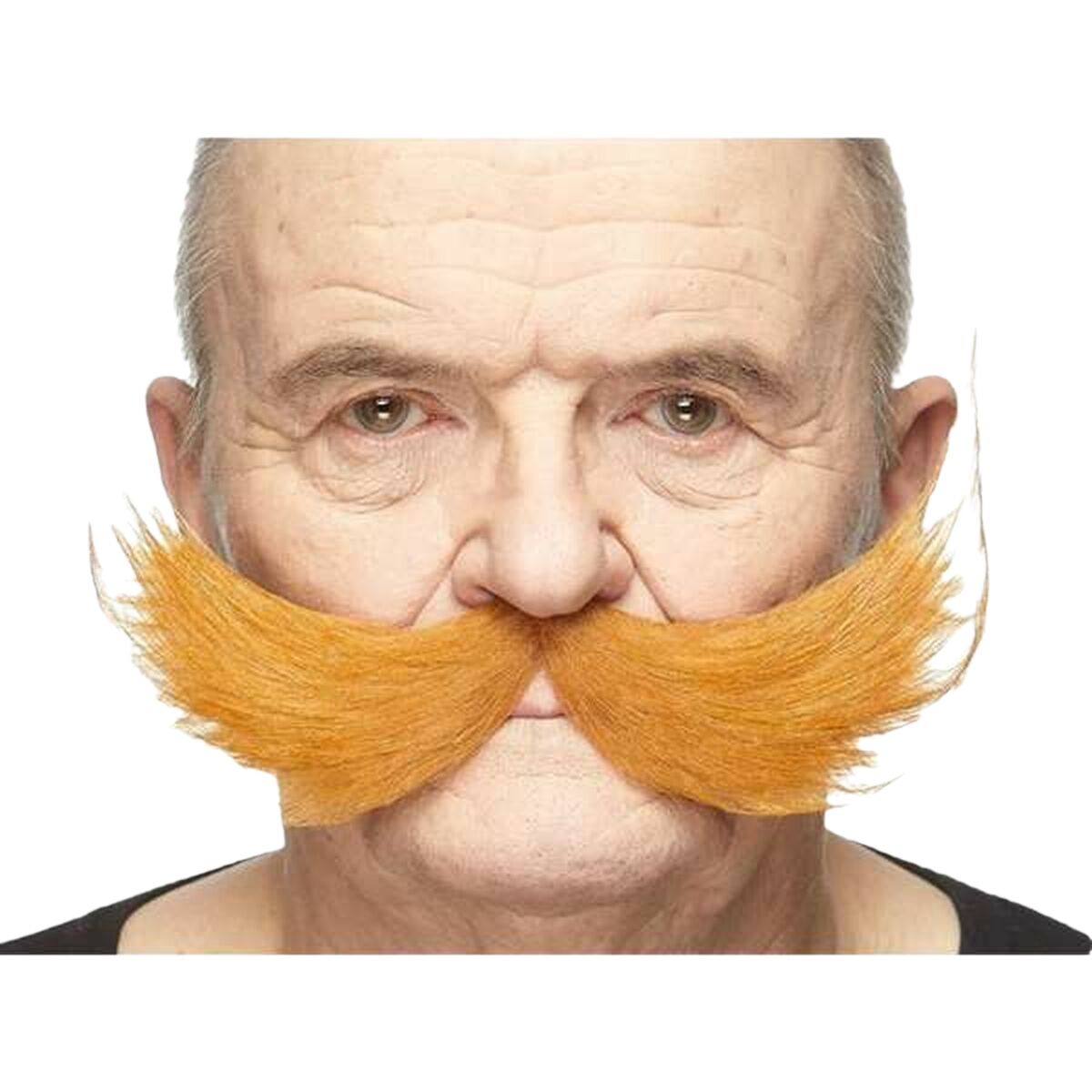 V2HD101811536877C0C815DDEA9738405FER5689875P2