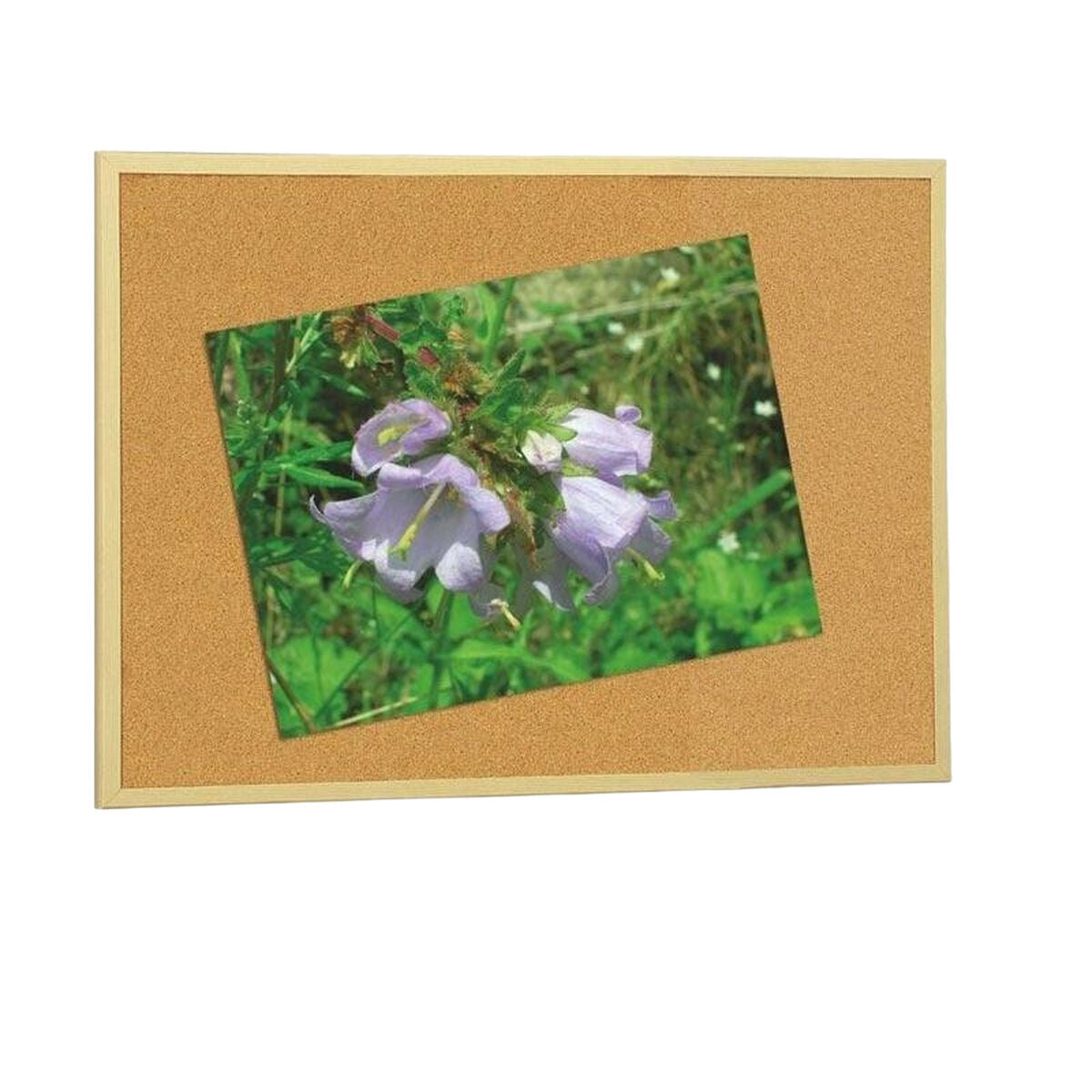 V3H96D63E115075DA01E6D1356418B761FFR4377578P1