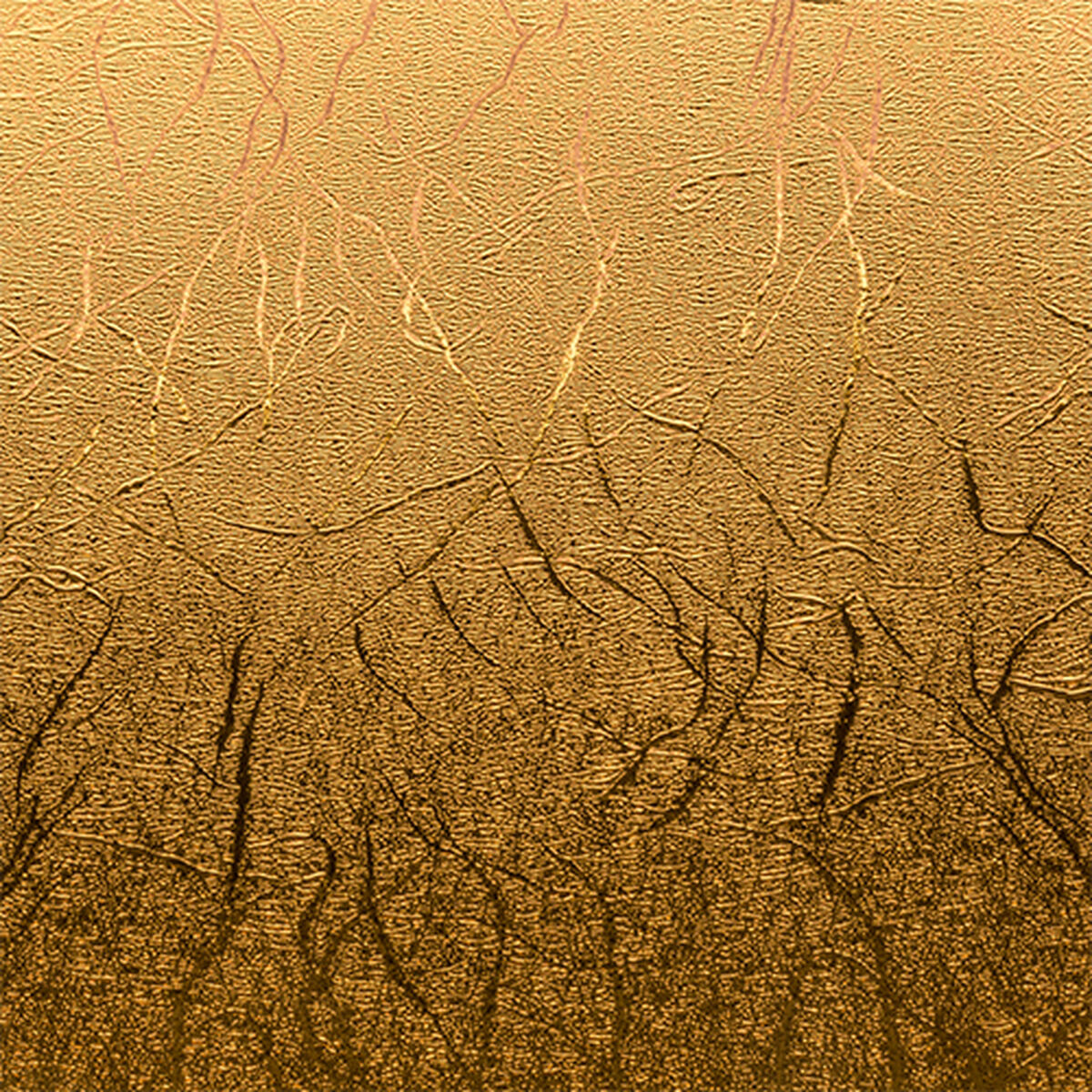 V3HAE9D7E6FC4F07A27670D2C4B04E33D80R5162011P2