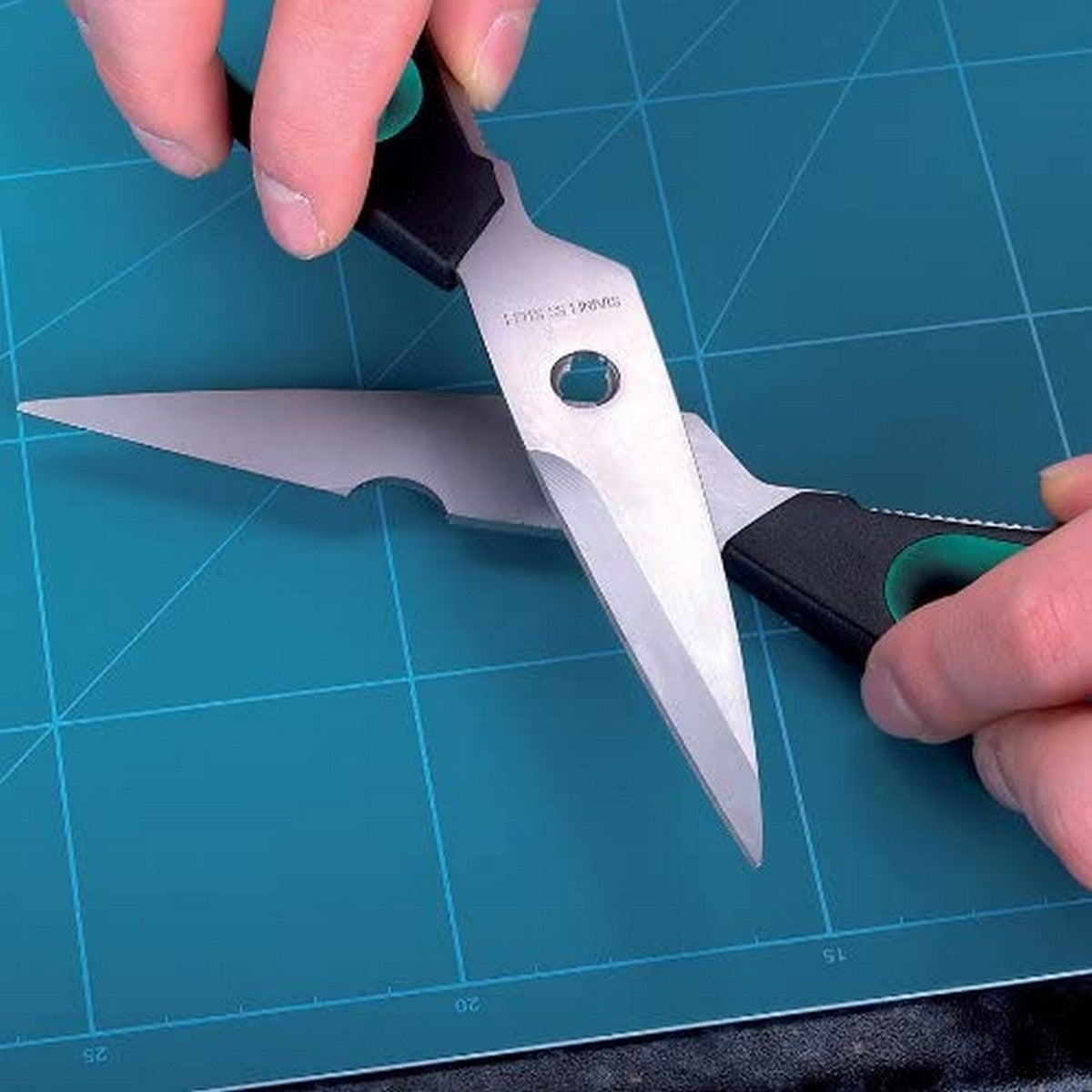 V8H5E54CD3785C666498ED873E4BC00A7D3R5448739P5