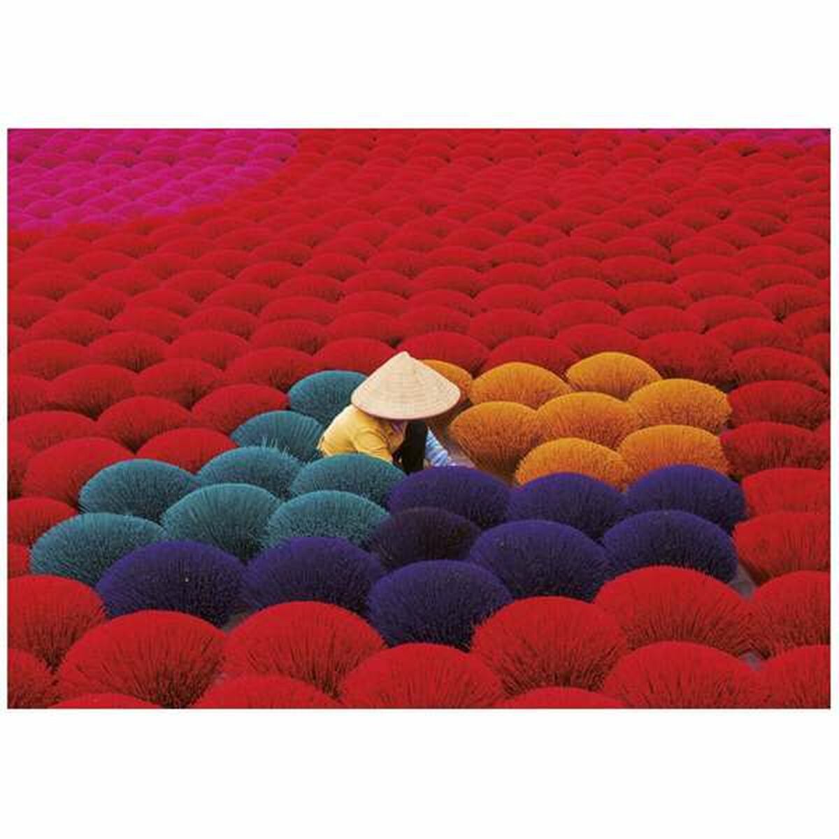 V2H1BE7D2CB11C67296F21EA7160A836979R5613532P3