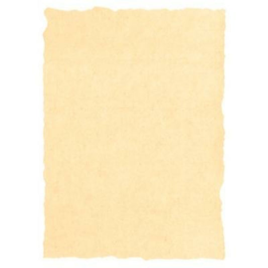 V6H9A41D4A29AFA225E24214F69C6D050DFR4220503P1