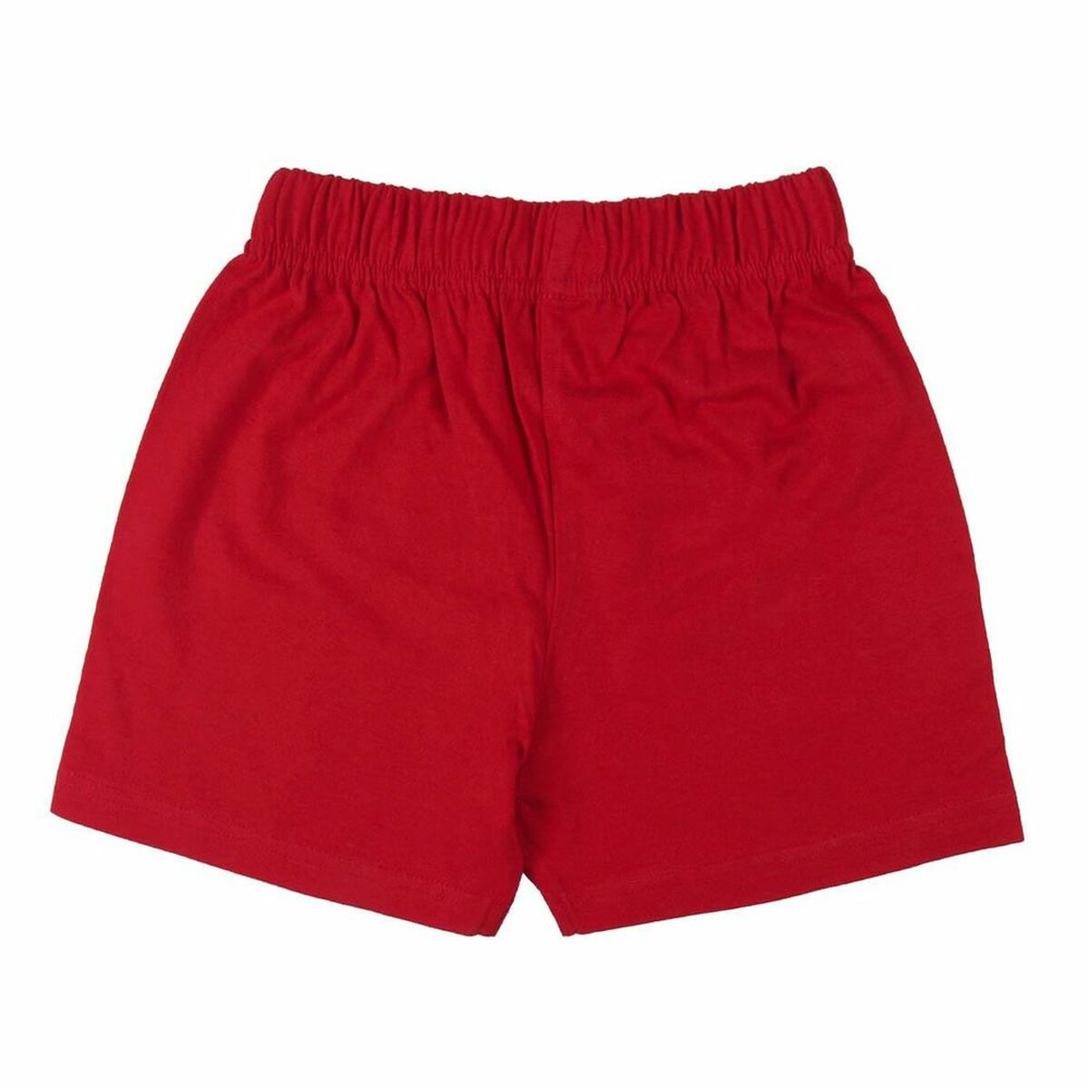 V10HEEB01525F24113232493EB0AB0E6030FR4566101P2