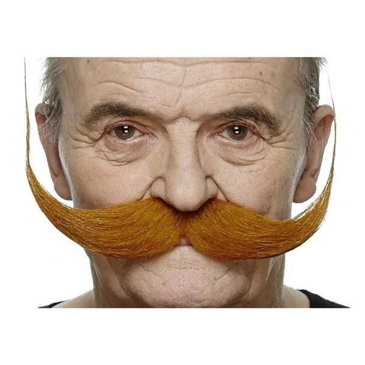 V2H208F931A9F240212246939543B9CF0C1R5689831P1