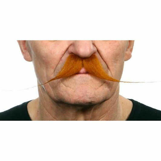 V8HBDF22E8E8898EE713BE1A569993DC3F9R5686518P1