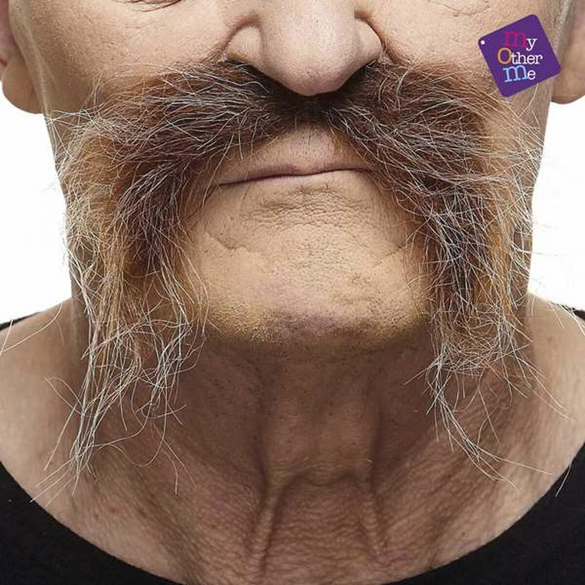 V2HF787E79BF87C6F7CA3A0207BD143C6B1R5689846P2