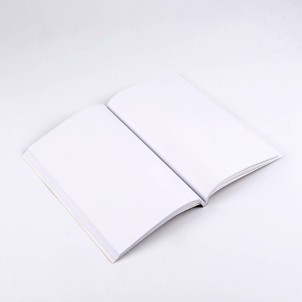 V7HCFBFDFF5A29FEEBE45E6ED66D28E28B1R4462943P2