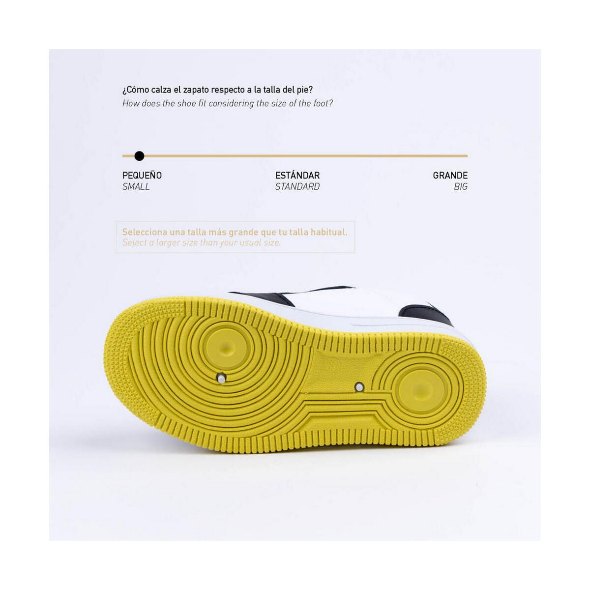 V9H68D84B50C3C0F54F9ABC69BEAE95B5DDR3928588P6