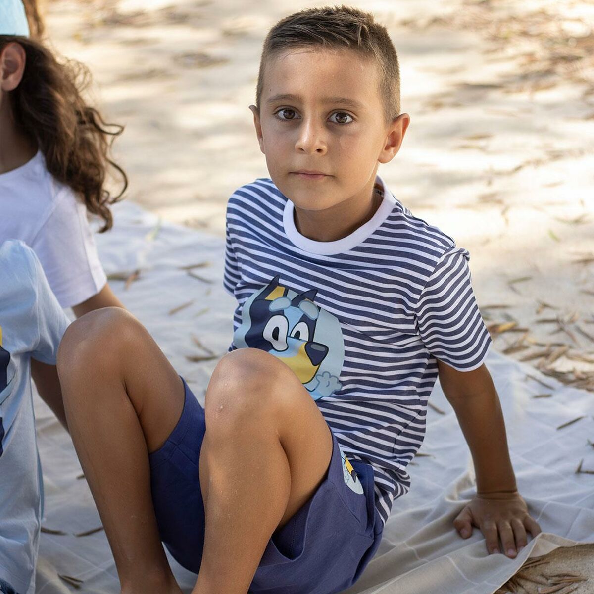 V8HA83975696BDC0857890004DB9E0010A3R4724635P3