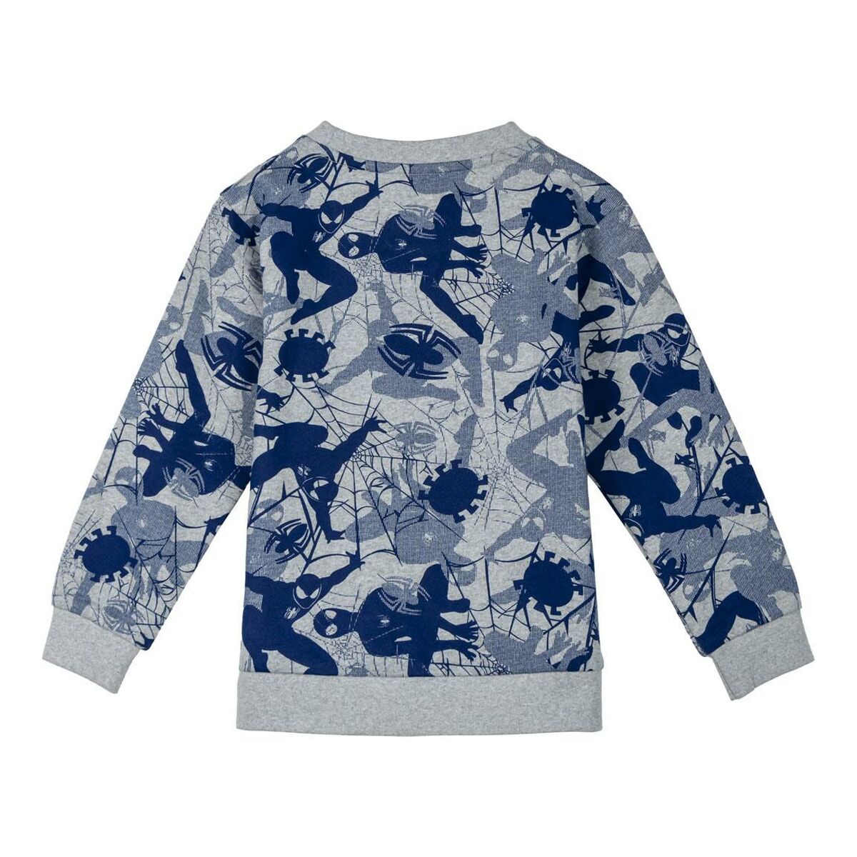 V5HEBAA95E9093DDCA696E8AA1FF6E064A9R6669305P2