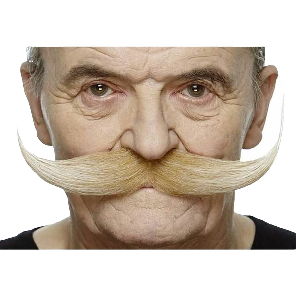 V2H8C295E78628B67430AA132511B7182EFR5689796P2